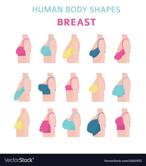 boobx|The 12 Different Breast Shapes and Types